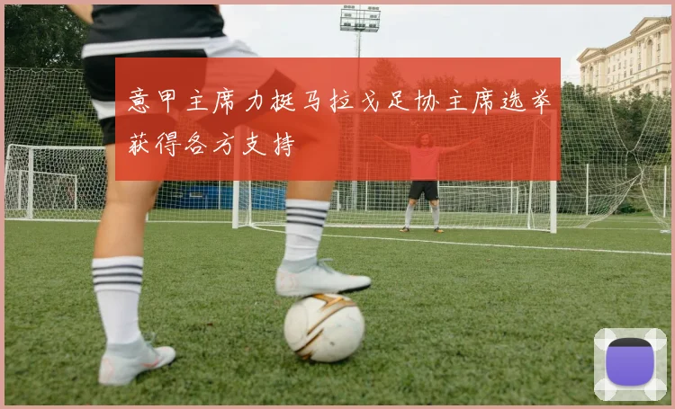 意甲主席力挺马拉戈足协主席选举获得各方支持