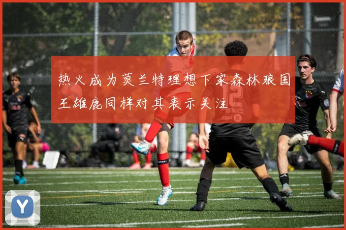 热火成为莫兰特理想下家森林狼国王雄鹿同样对其表示关注